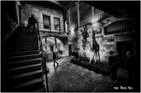 /album/fotogaleria-fotos-b-n/mg-8841-640x480-jpg1/